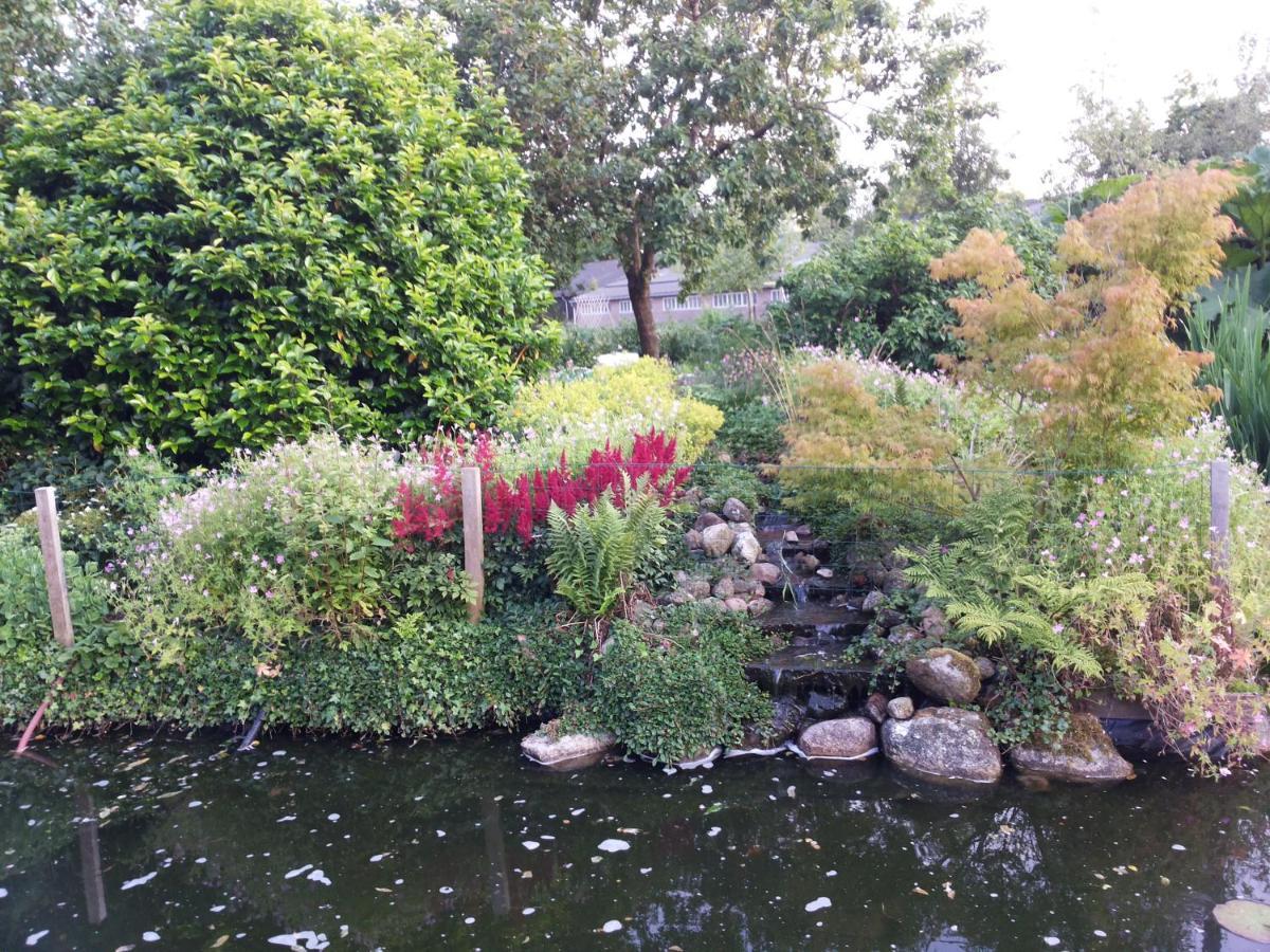 B&B Kleintje Eleveld Esterno foto