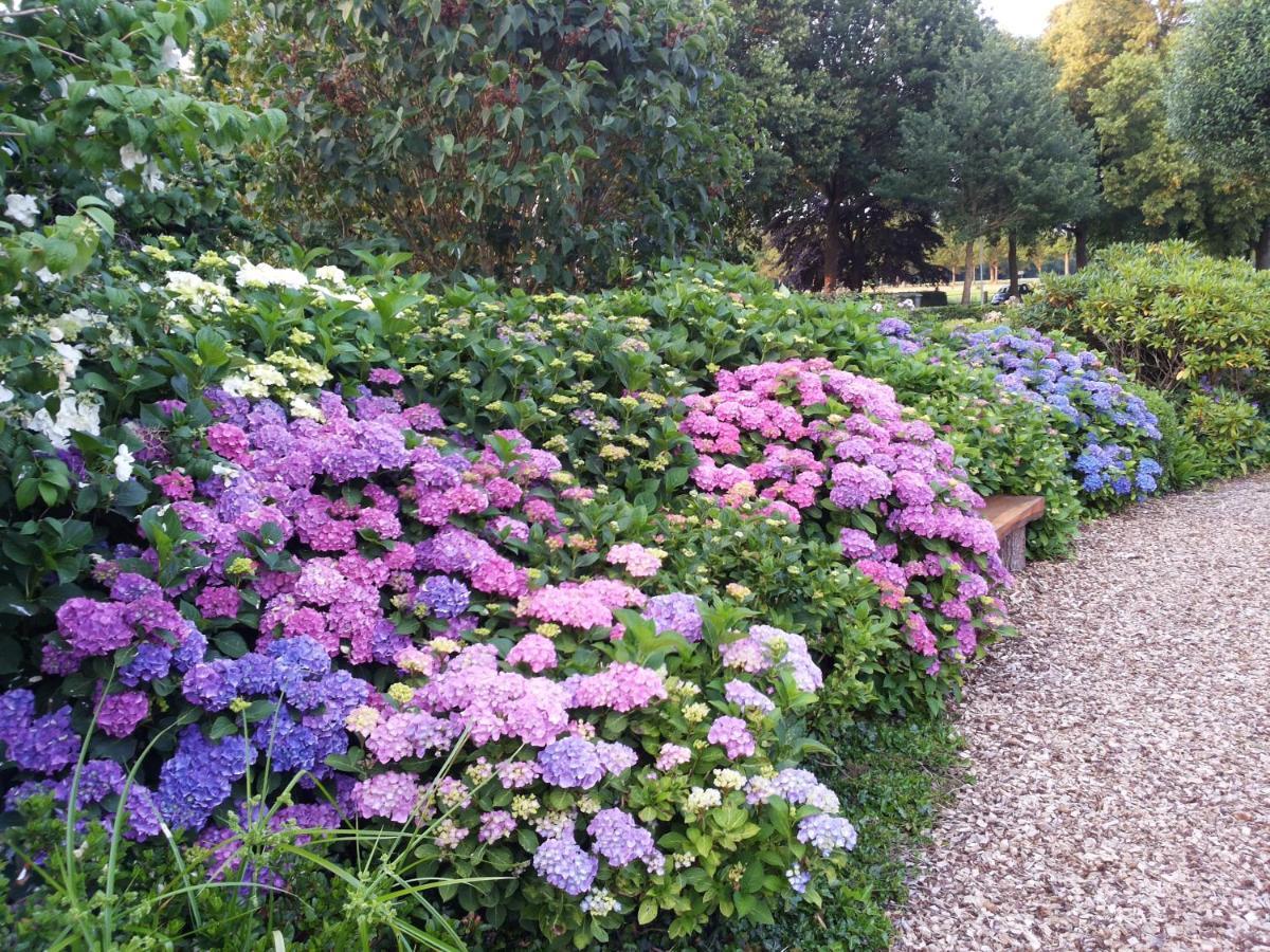 B&B Kleintje Eleveld Esterno foto