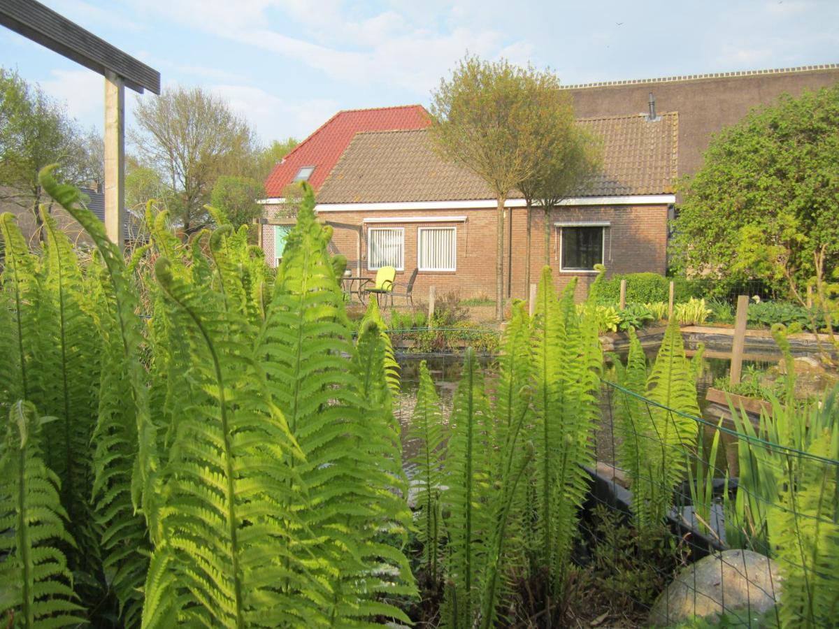 B&B Kleintje Eleveld Esterno foto