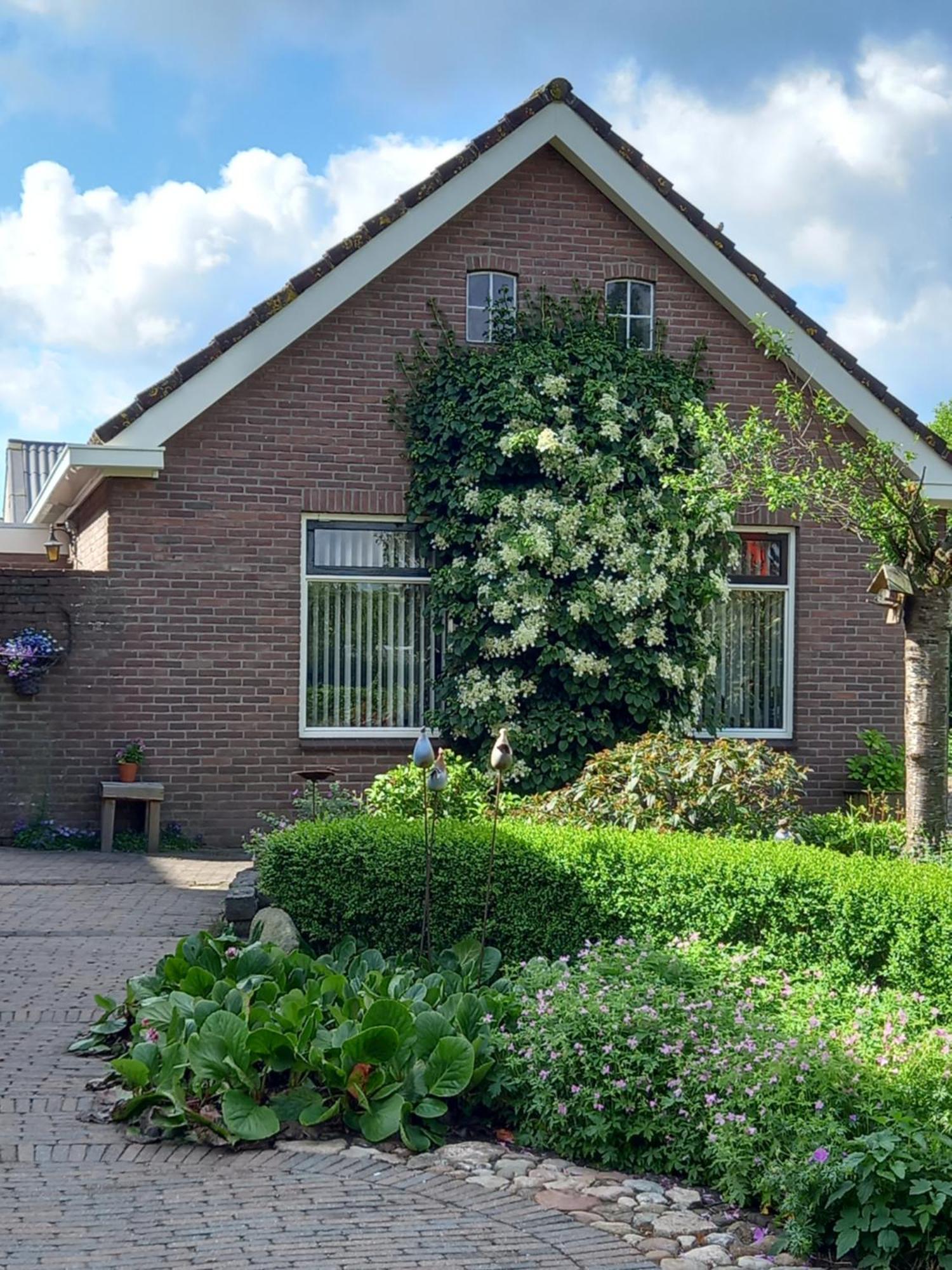 B&B Kleintje Eleveld Esterno foto